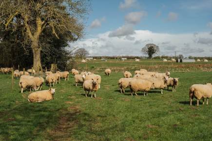 ACI Swannington Farm Visit 50