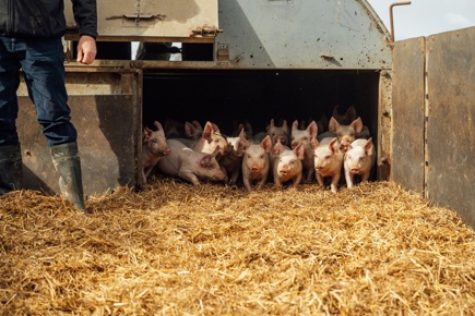 ACI Swannington Farm Visit 26