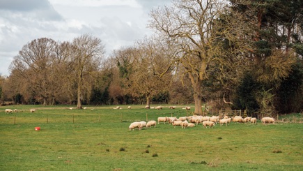 ACI Swannington Farm Visit 47