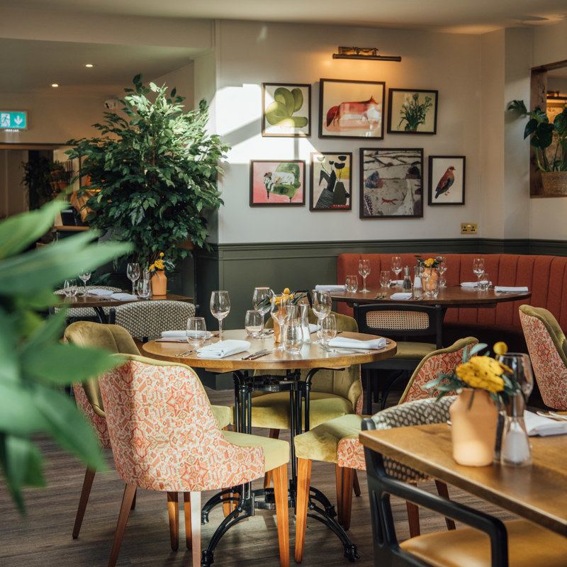 Fox Interiors 2023 002