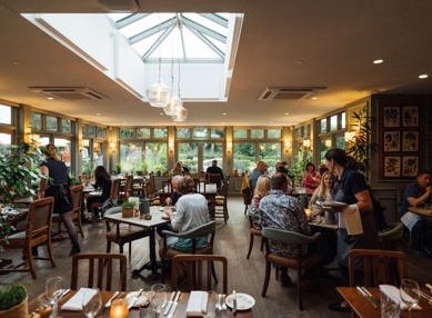 TFH Garden To Glass Eve 99