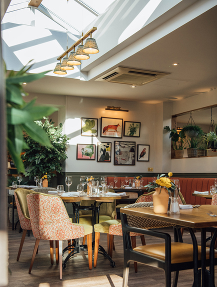 Fox Interiors 2023 001